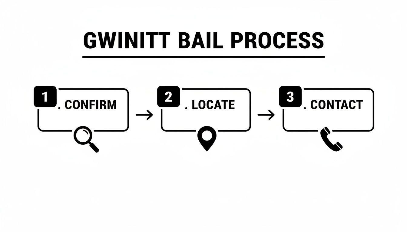 A three-step diagram illustrates the Gwinnett Bail Process: Confirm, Locate, Contact.
