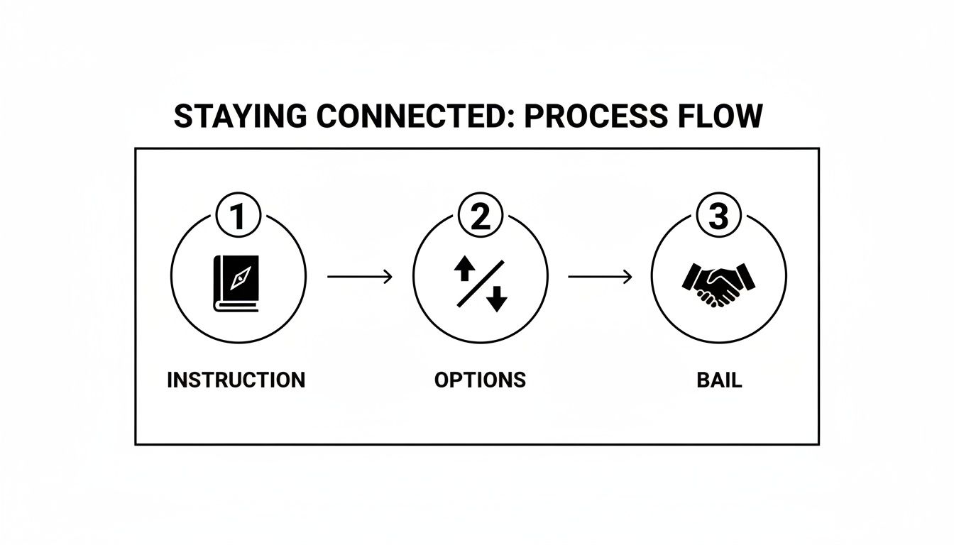 Process flow diagram titled 'Staying Connected' with three steps: Instruction, Options, and Bail, represented by icons.