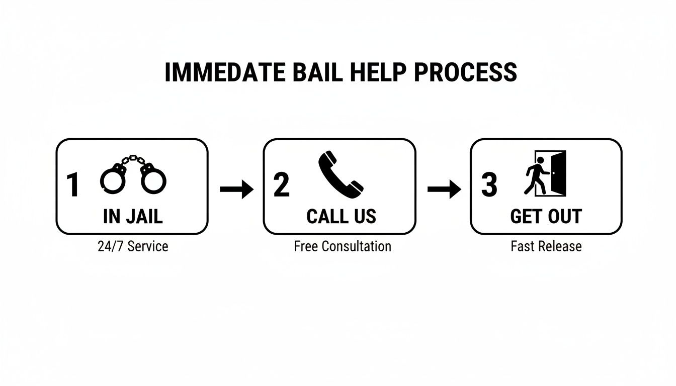 A three-step diagram illustrates the immediate bail help process: from being in jail, to calling for free consultation, to getting out fast.
