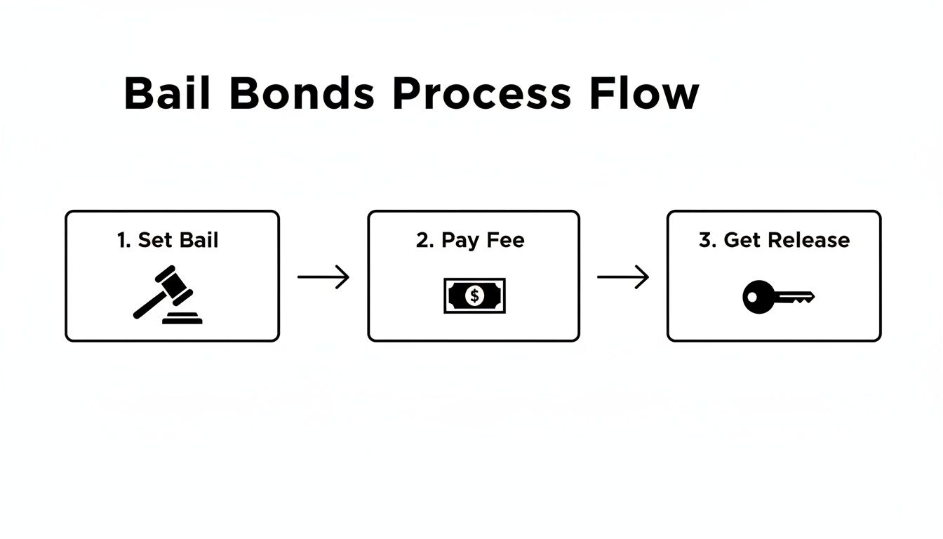 A simple flowchart illustrating the three-step bail bonds process: Set Bail, Pay Fee, Get Release.